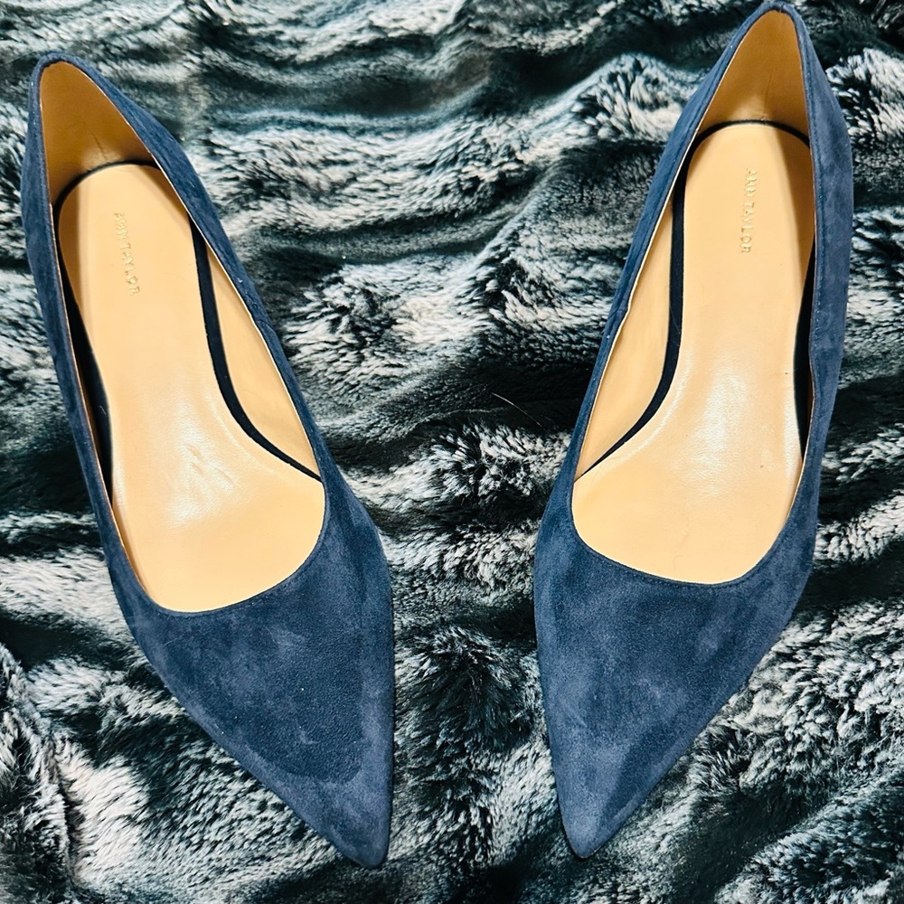 Elegant Ann Taylor Blue Suede Women's Pumps